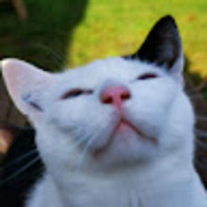 Meet your Posher, Bella hafford